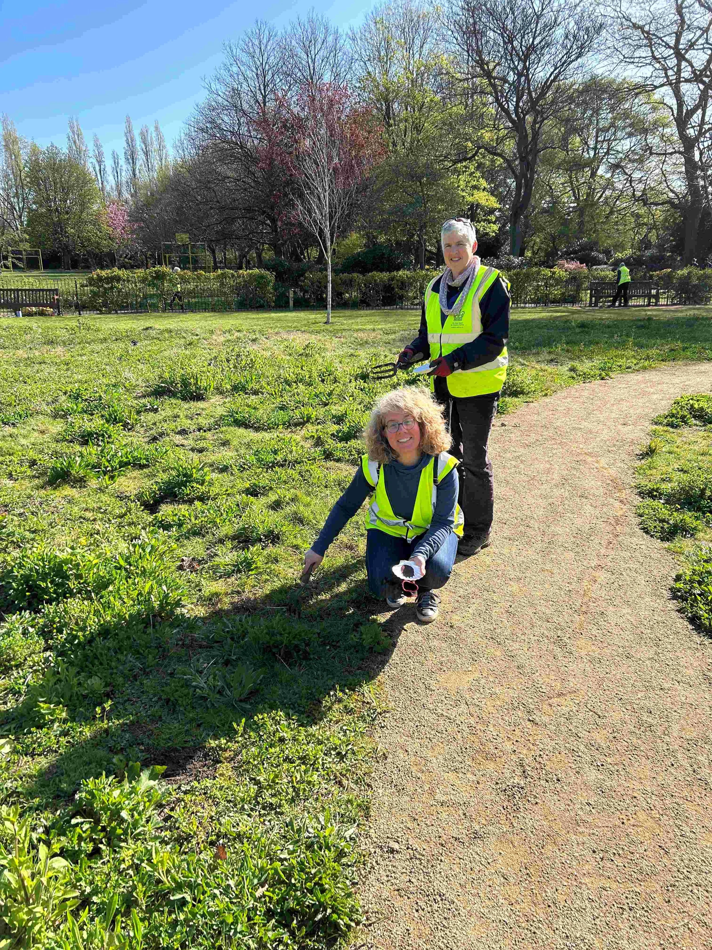 Spring Sunshine and Strong Volunteer Turnout at Didsbury Park