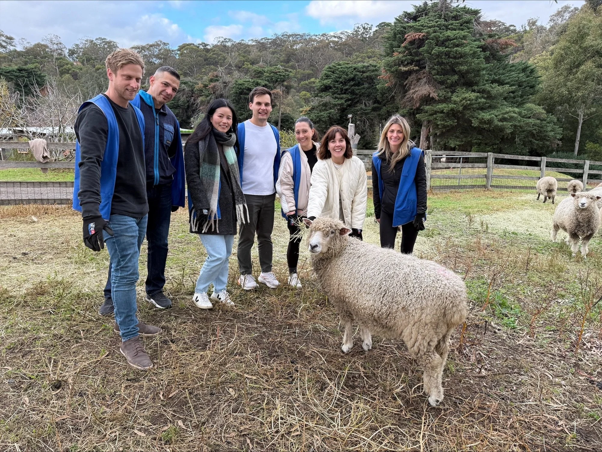 Collingwood Childrens Farm_Media and Customer Marketing LT.jpeg