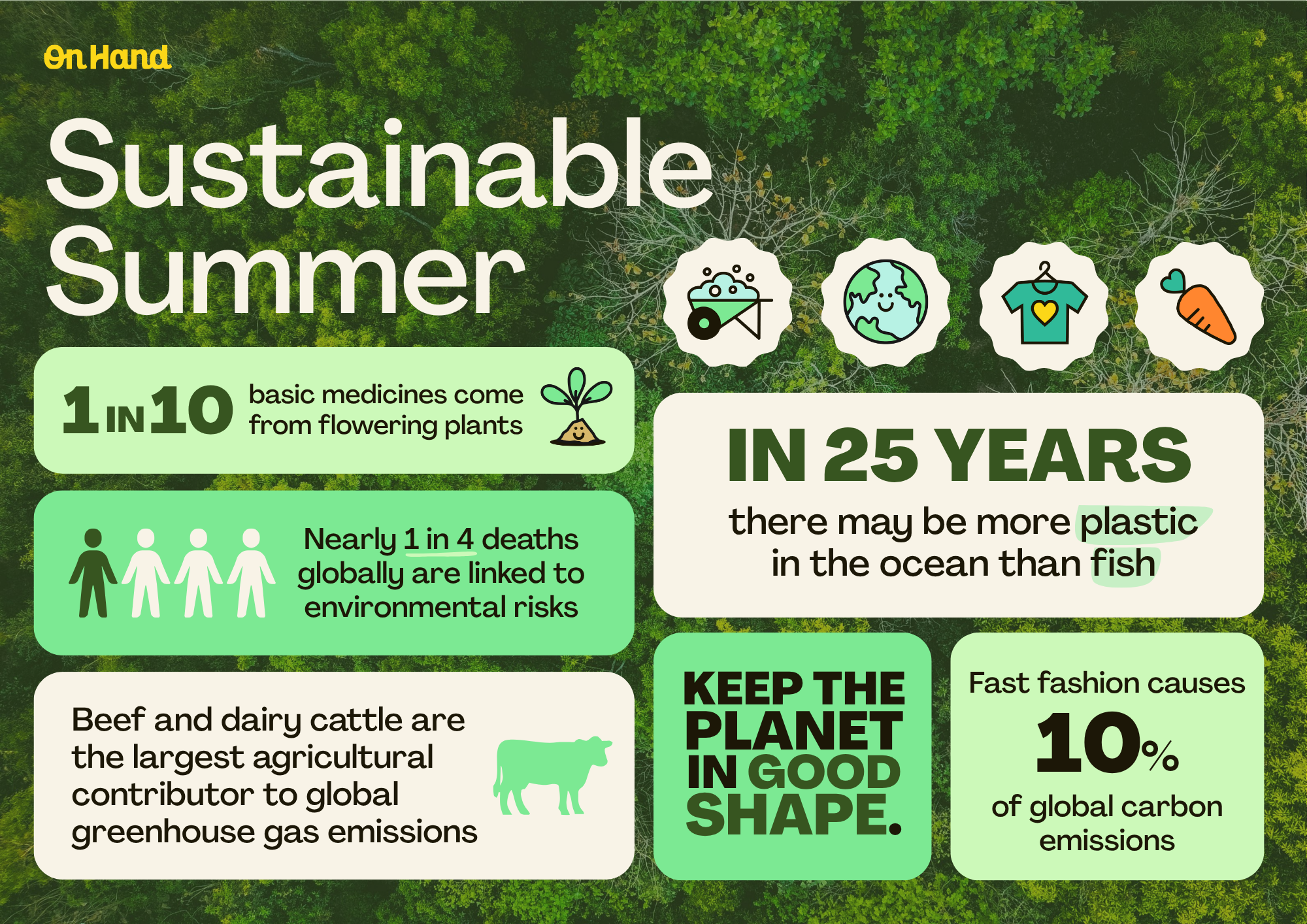 Sustainable Summer - Stat Poster.png