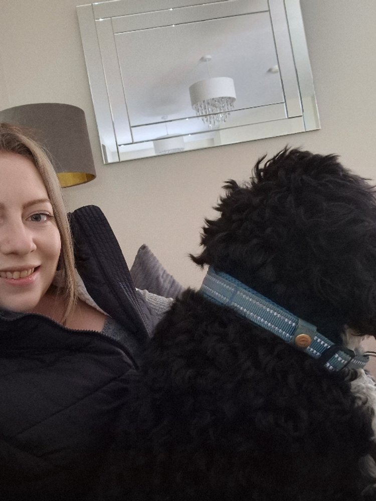 DF Capital - Anna Bartley - Borrow My Doggy 9.jpeg