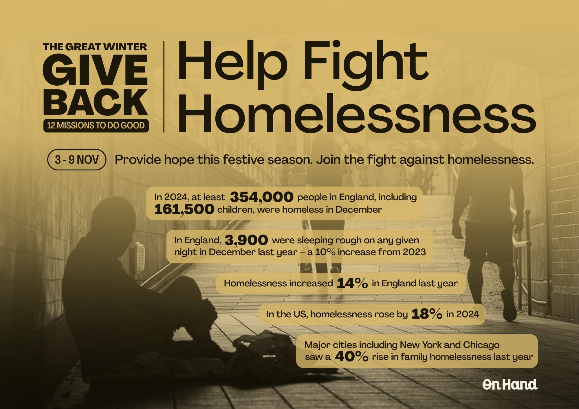 Help Fight Homelessness - Stat Poster.png