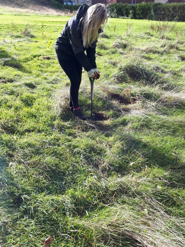 Lara Bowling DF Capital Volunteer with City of Trees.jpeg