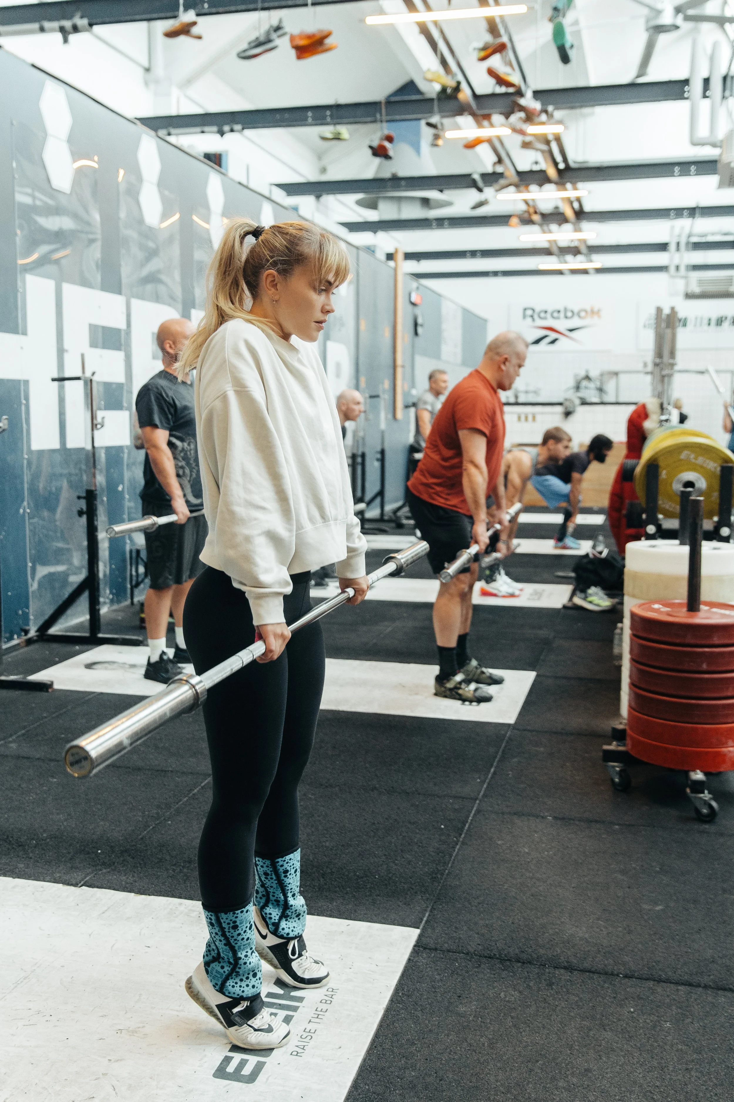 Begynderhold Butcher s Lab