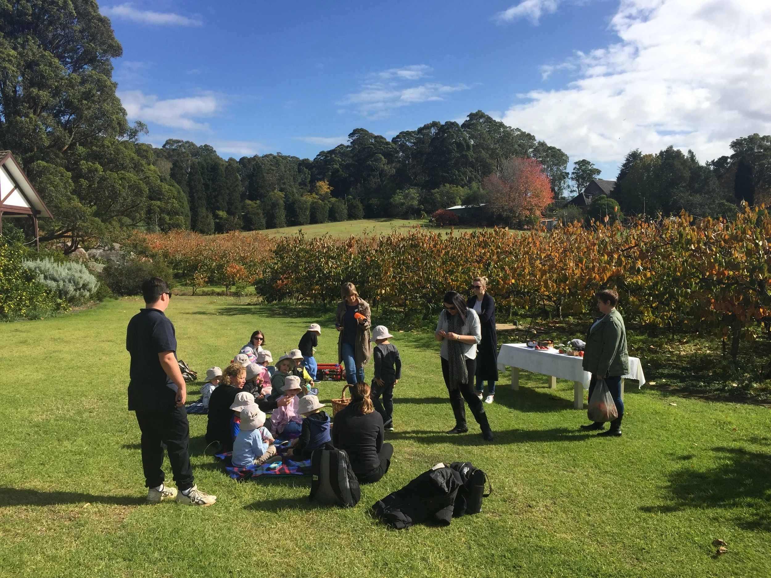 Local preschool visit to the persimmon orchard in Sydney with adults and children on grass, trees, and clear sky in background.