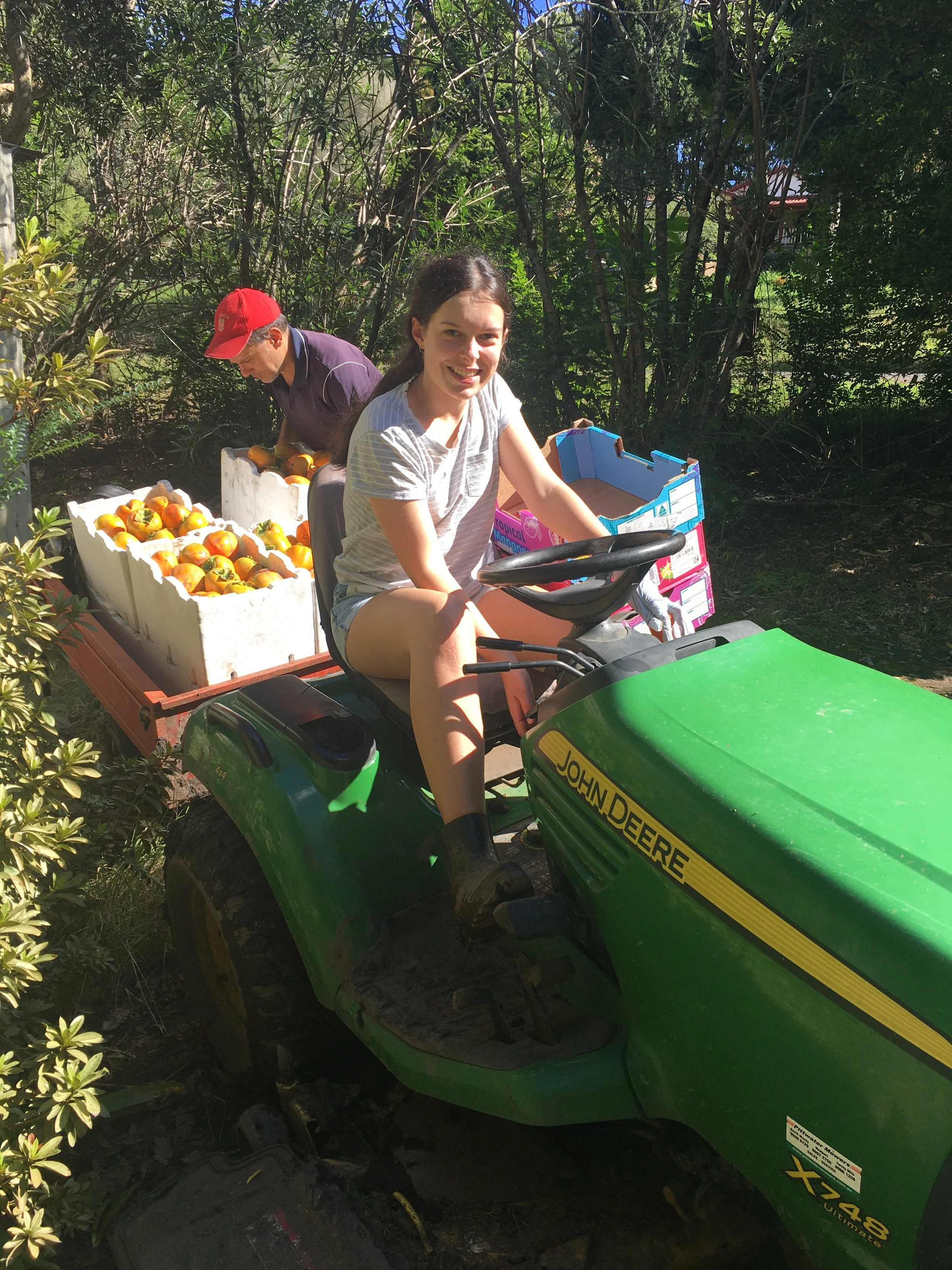 Person driving a John Deere garden tractor with another person loading crates of fruit in a garden setting.