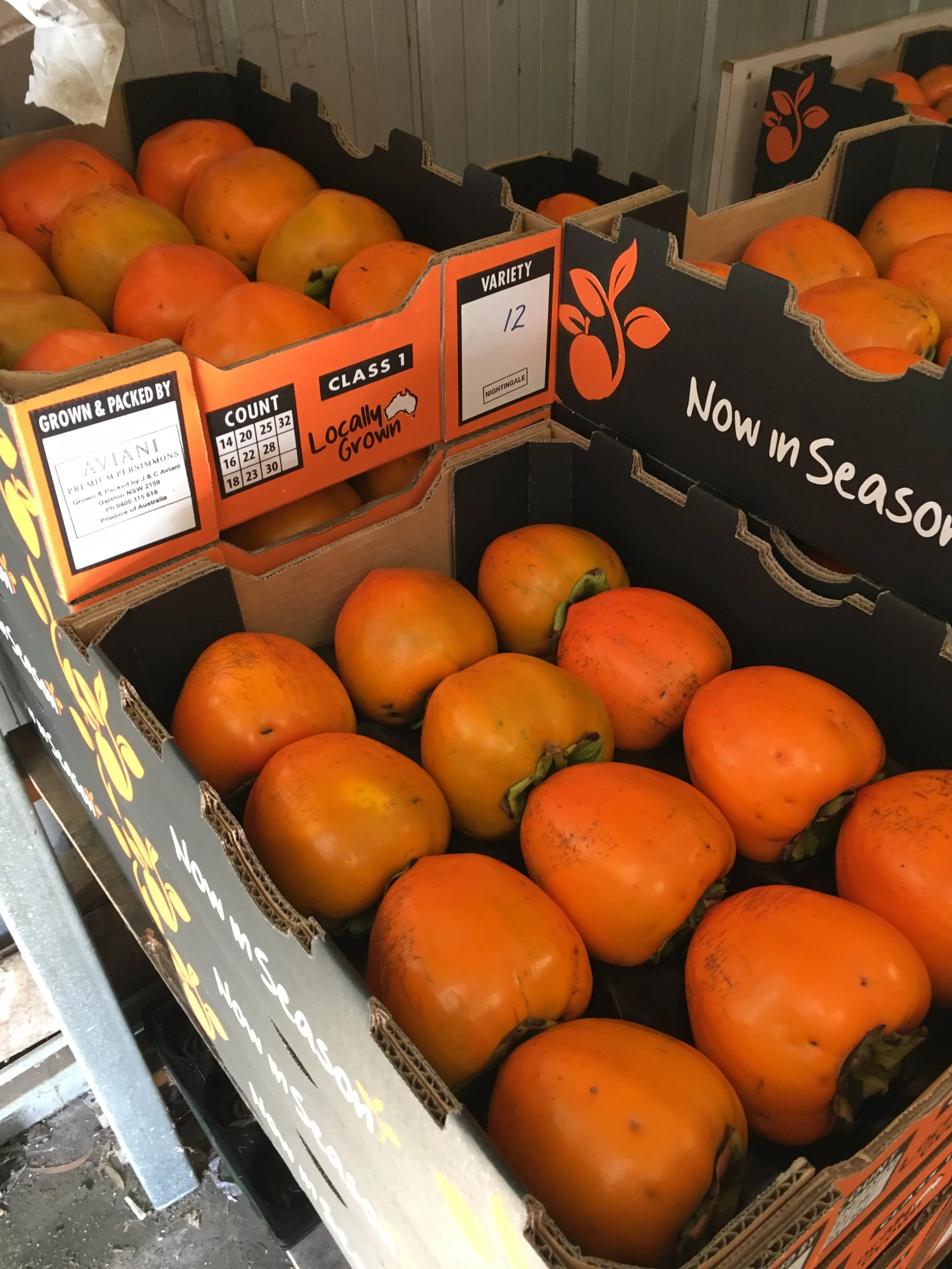 Boxes of orange Nightingale (Hachiya) persimmons labeled as locally grown and in season - available at our packing shed in the Hills District of Sydney.