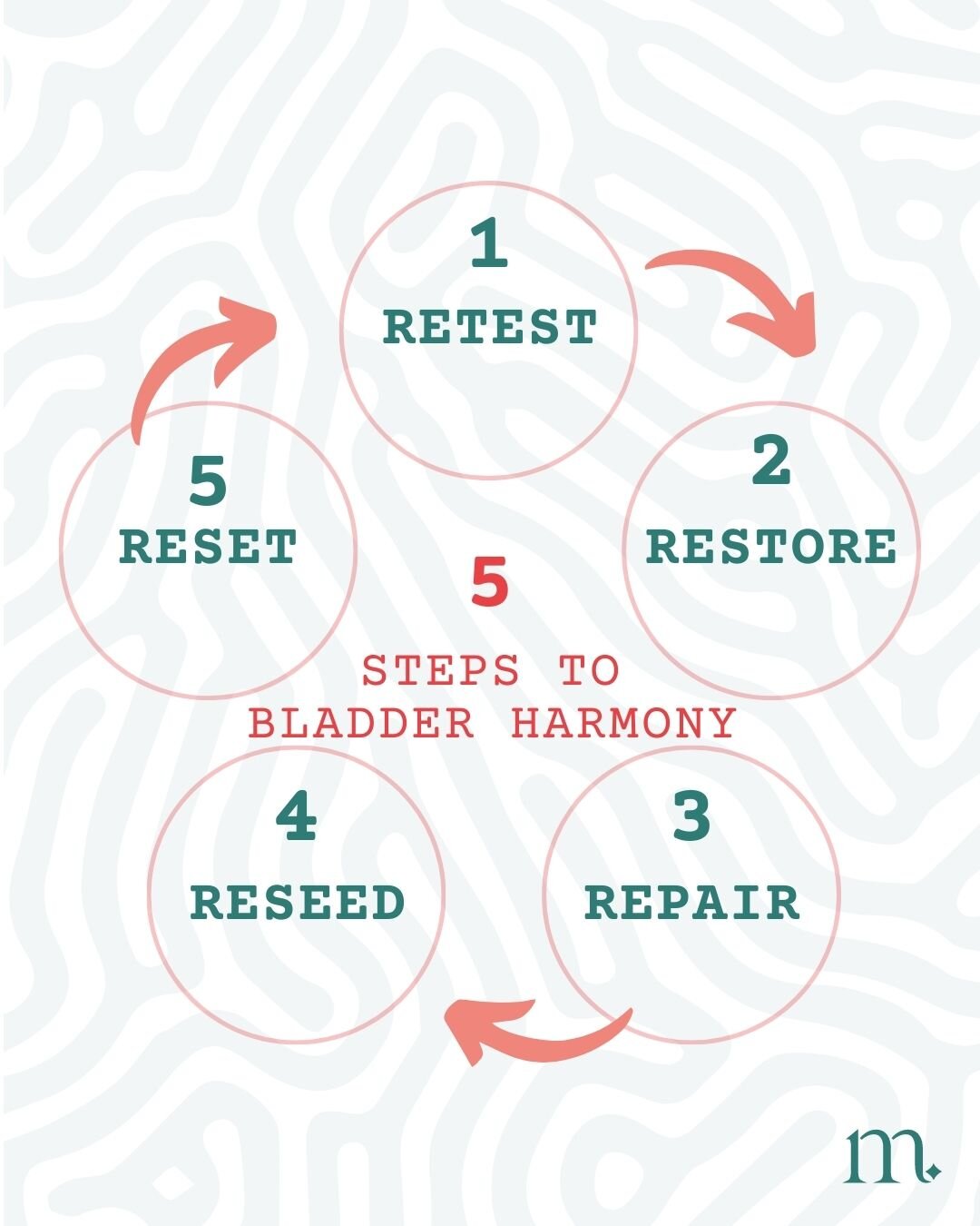 Here's how it works 👇

1 RETEST
We&rsquo;ll use advanced PCR screening and vitamin D testing to assess your urinary health.

2 RESTORE
We&rsquo;ll restore your immune health and reduce your risk of UTIs.

3 REPAIR
We&rsquo;ll repair the lining of yo