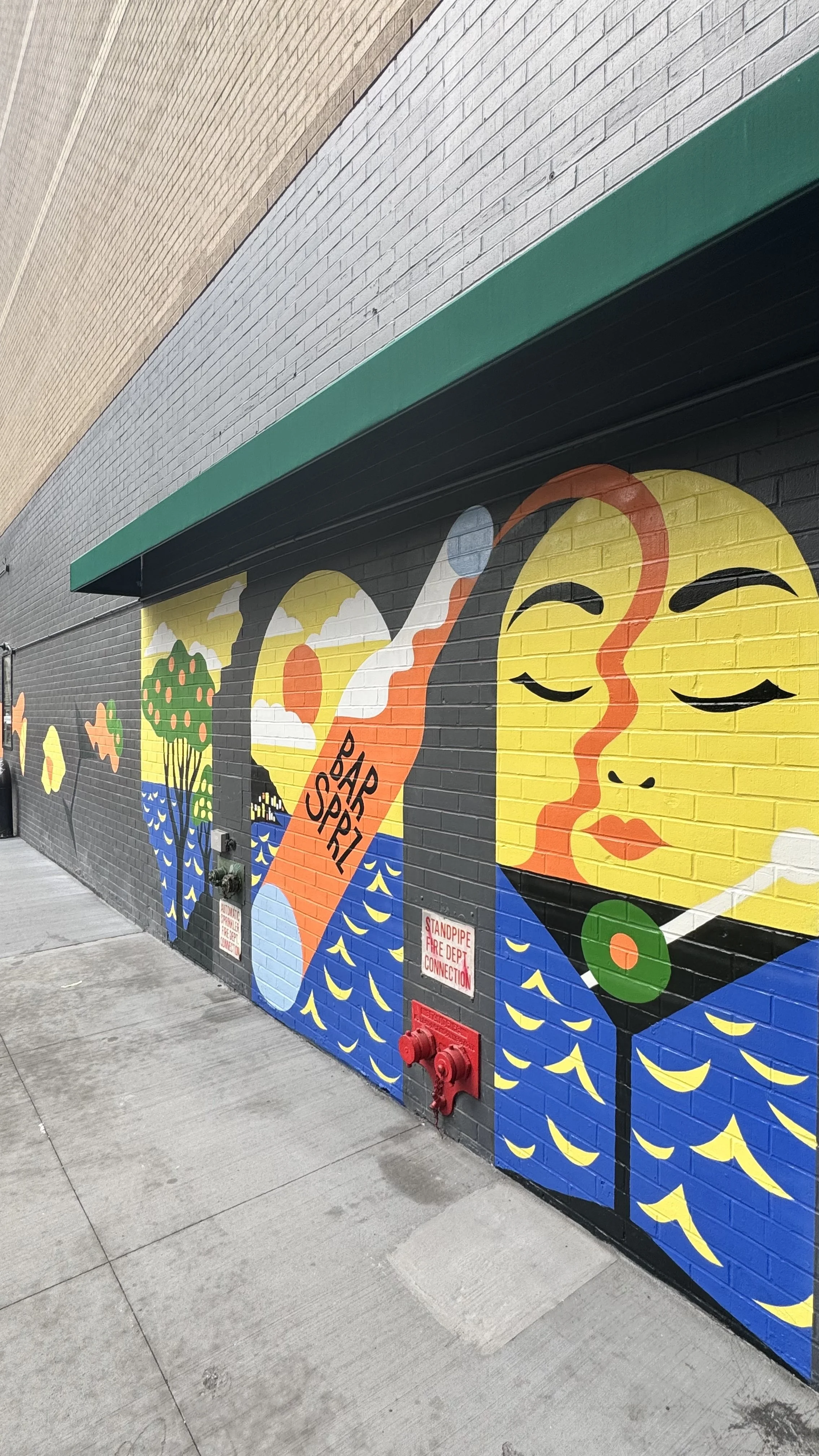 Mural For Bar Sprezaturra
