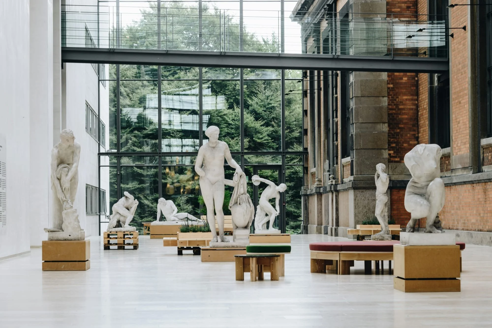 Sala de un museo con esculturas clásicas de yeso expuestas sobre pedestales de madera, junto a un gran ventanal acristalado