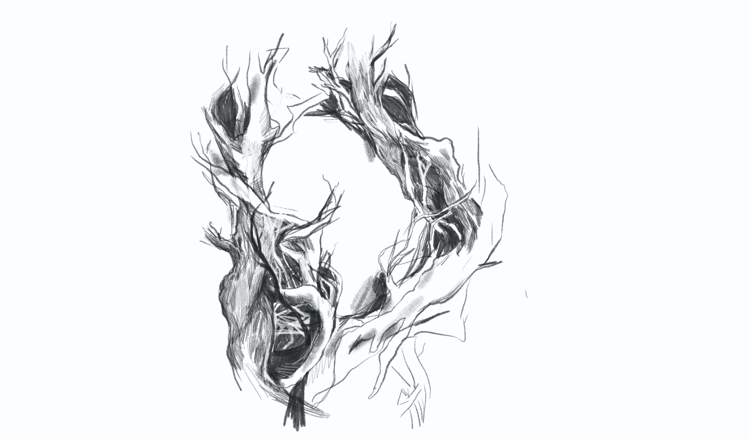 Untitled_Artwork 11.jpg