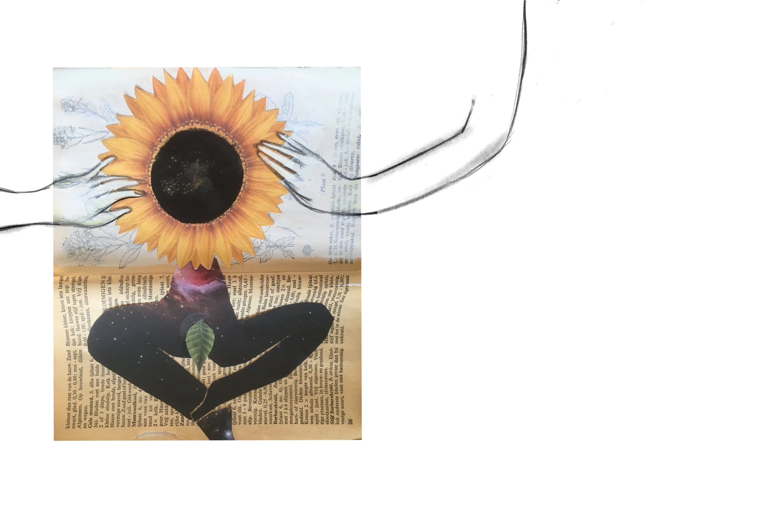 Untitled_Artwork 1 3.jpg