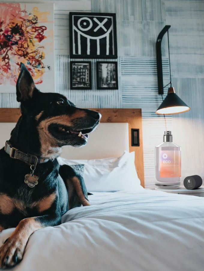 ECOSCENT+IG+POSTS+2.png