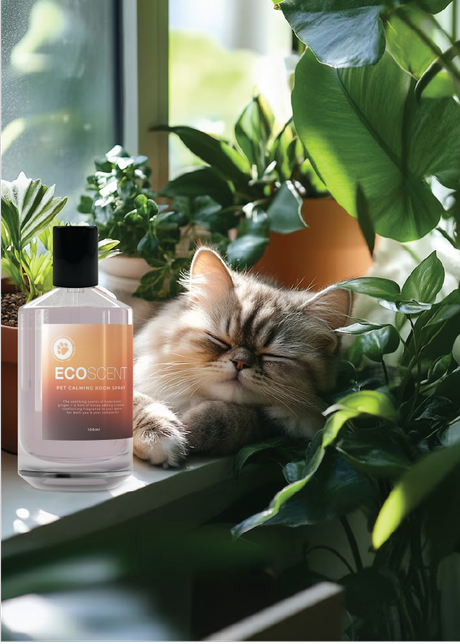 ECOSCENT+IG+POSTS.png