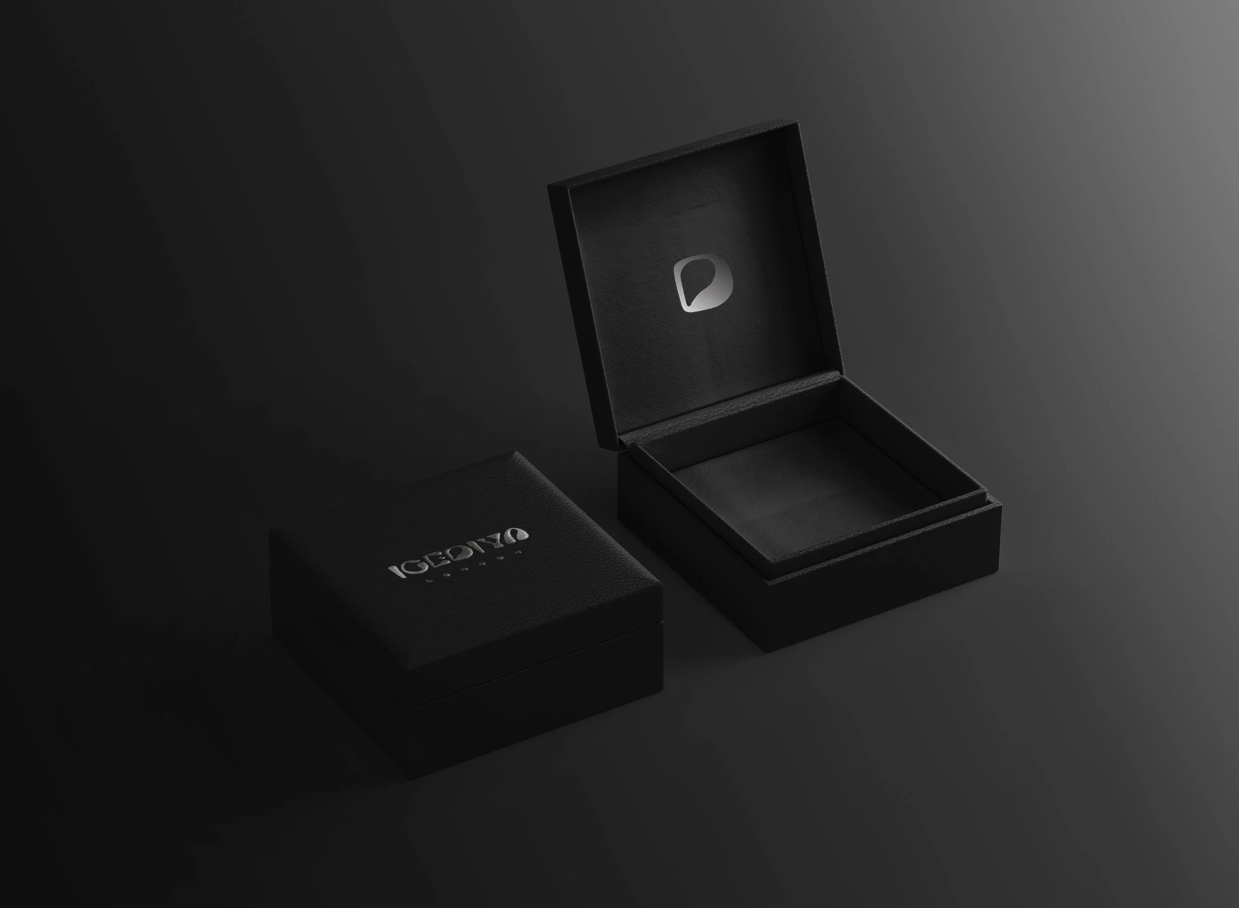 ICEDIYA BOX MOCK UP.jpg