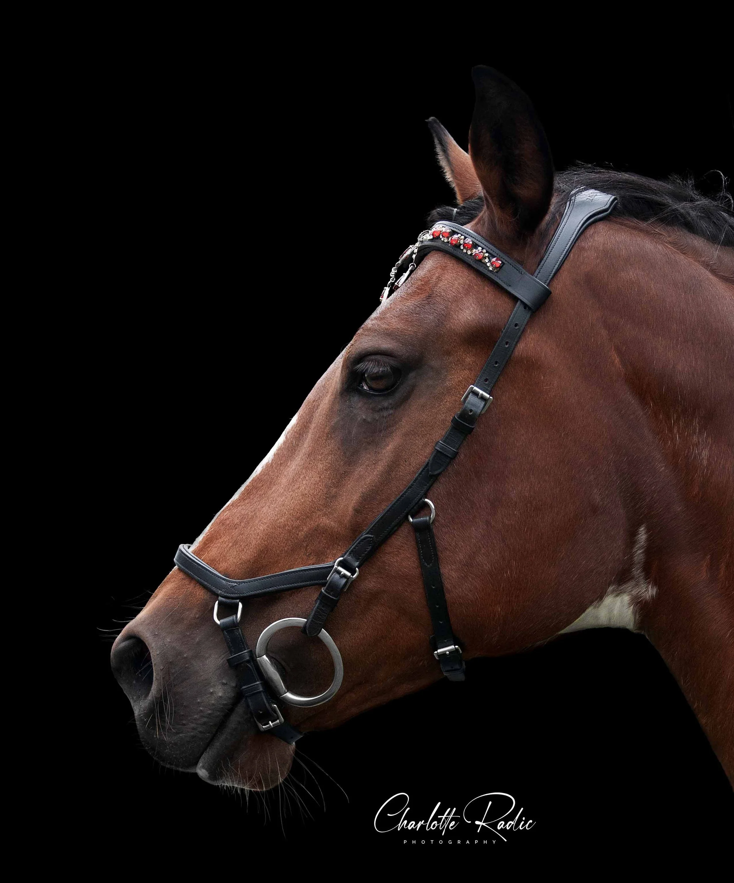 _DSC0210 copyEllie.jpg