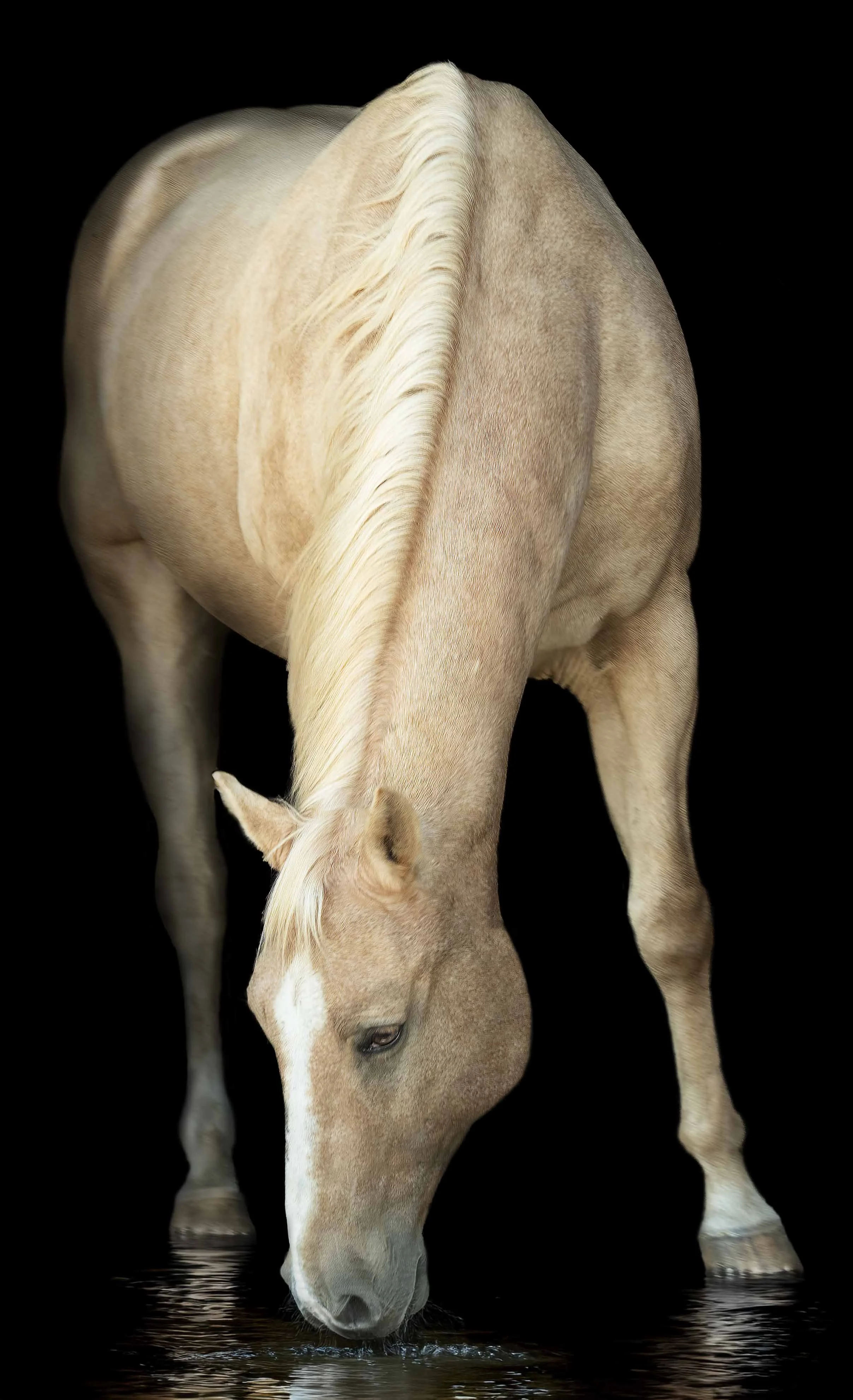 DSC_4118 copy pond water.jpg