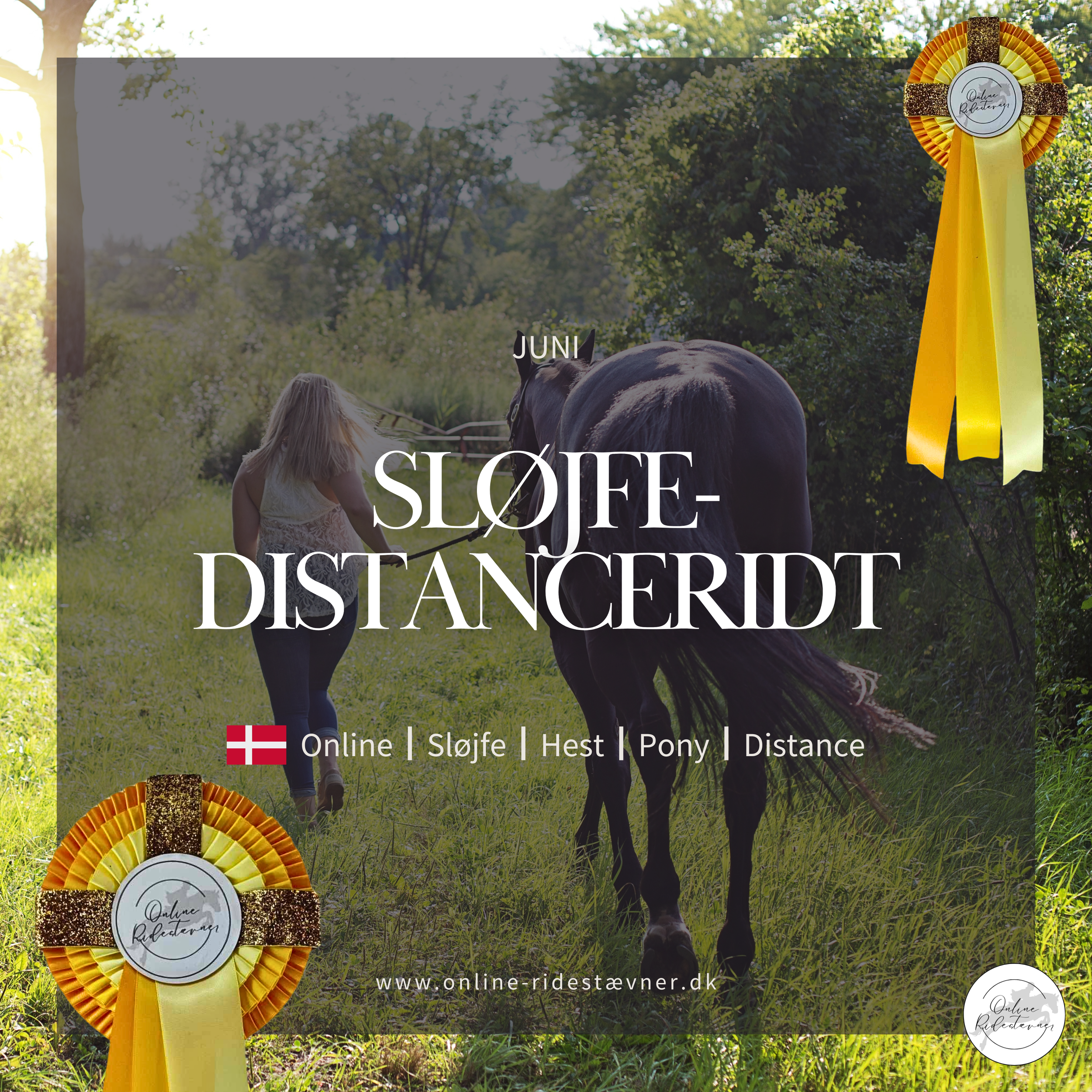 Sløjfedistanceridt