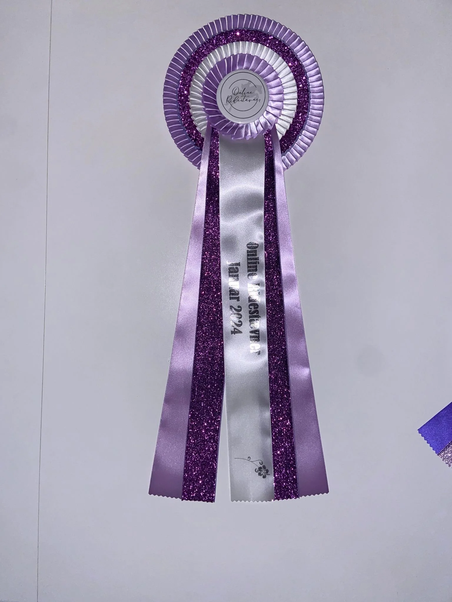 415501367_832962065252723_8730107249814078536_n.jpg