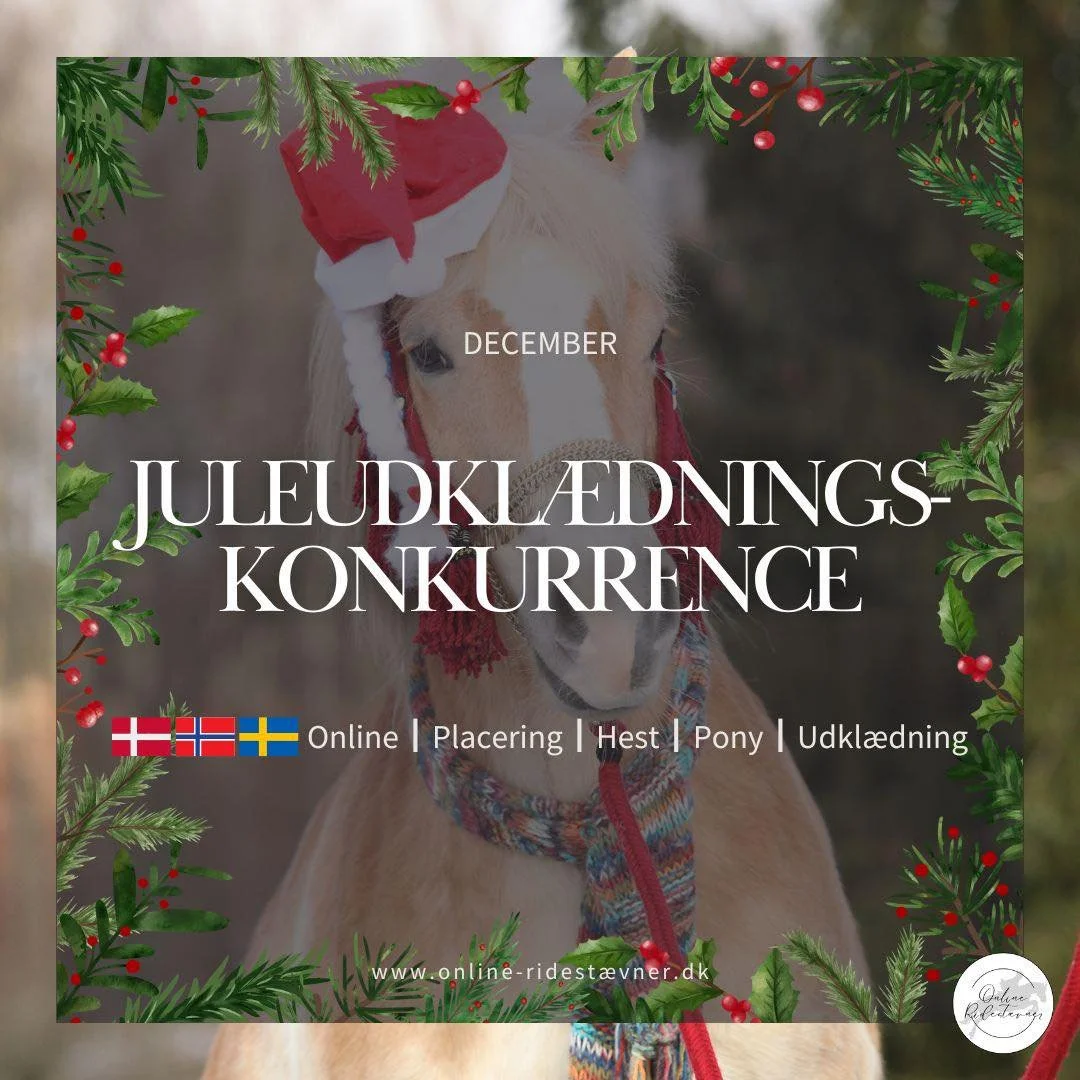 🎄 JULEUDKL&AElig;DNINGSKONKURRENCE &ndash; DECEMBER 🎄

December byder p&aring; &aring;rets hyggeligste og mest kreative konkurrence!
Vi inviterer til en festlig juleudkl&aelig;dningskonkurrence, hvor b&aring;de heste og mennesker kan give den fuld 