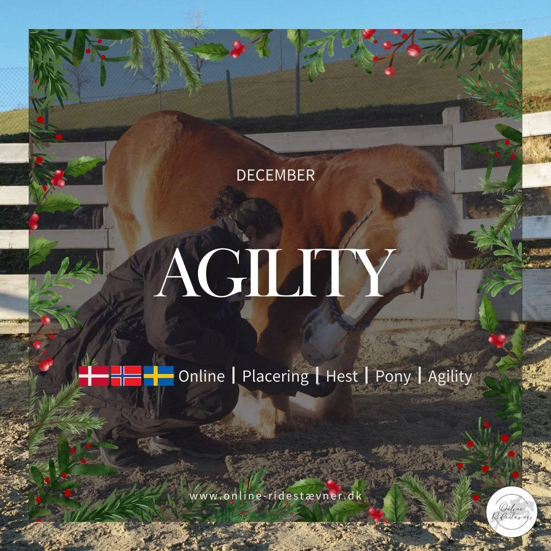🎄 AGILITY &ndash; DECEMBER 🎄

OBS: Placeringsklasse. V&aelig;r opm&aelig;rksom p&aring; at der i december OGS&Aring; findes en sl&oslash;jfeklasse i agility. 

S&oslash;rg for at l&aelig;se teksten grundigt igennem f&oslash;r du tilmelder dig. Nede