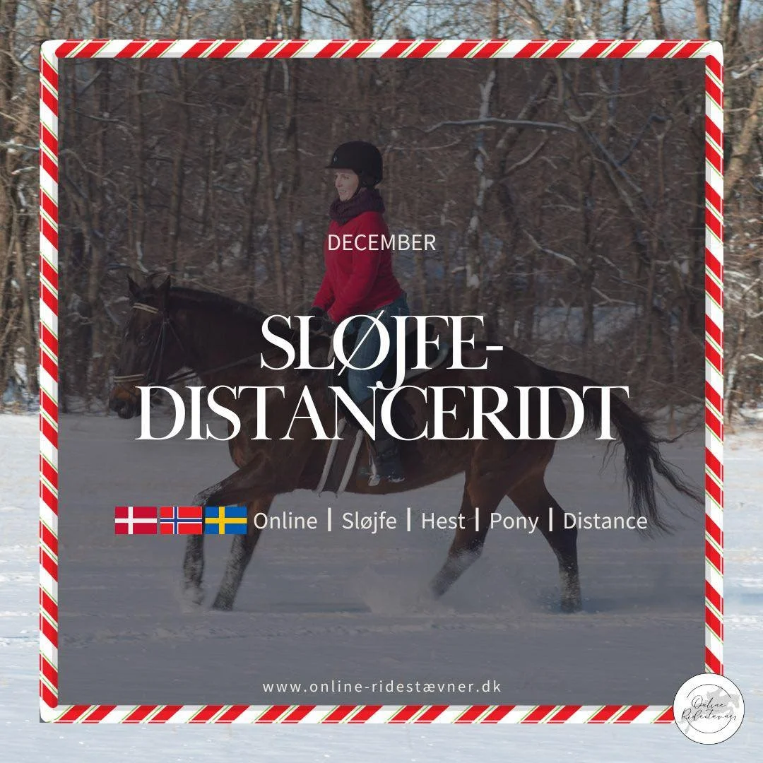 🎄 SL&Oslash;JFEDISTANCERIDT &ndash; DECEMBER 🎄

S&oslash;rg for at l&aelig;se teksten grundigt igennem f&oslash;r du tilmelder dig. Nedenst&aring;ende er vigtig information du f&aring;r brug for til din deltagelse. 

OBS: Sl&oslash;jfeklasse. V&ael