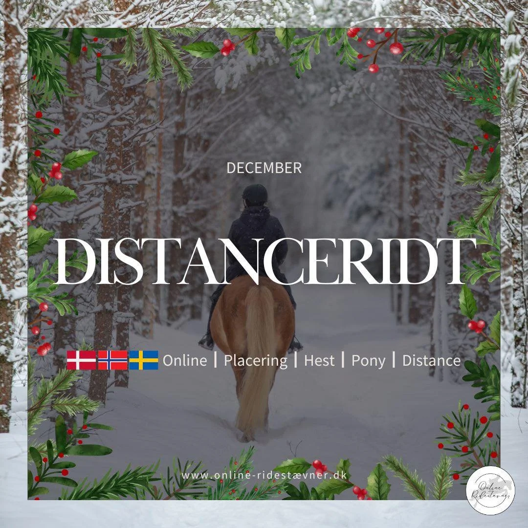🎄 DISTANCERIDT &ndash; DECEMBER 🎄

OBS: Placeringsklasse. V&aelig;r opm&aelig;rksom p&aring; at der i december OGS&Aring; findes en sl&oslash;jfeklasse i distance. 

S&oslash;rg for at l&aelig;se teksten grundigt igennem f&oslash;r du tilmelder dig