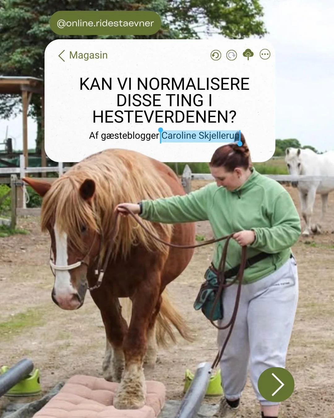 &ldquo;Kan vi normalisere disse ting i hesteverdenen?&rdquo; Sp&oslash;rger Caroline Skjellerup i det nyeste blogindl&aelig;g p&aring; siden. L&aelig;s det allerede nu i vores magasin; du finder det i hovedmenuen p&aring; vores hjemmeside www.online-