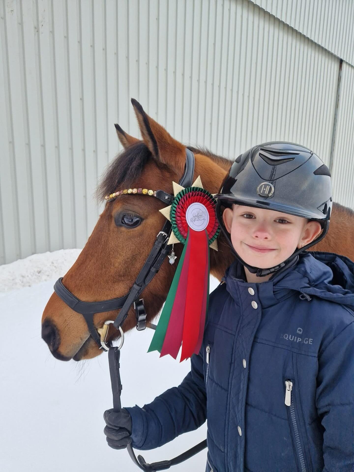 SE lige nogle flotte ekvipager med deres december-rosetter!😍🫶🏻✨

Vi elsker n&aring;r I deler jeres oplevelse med os🥹