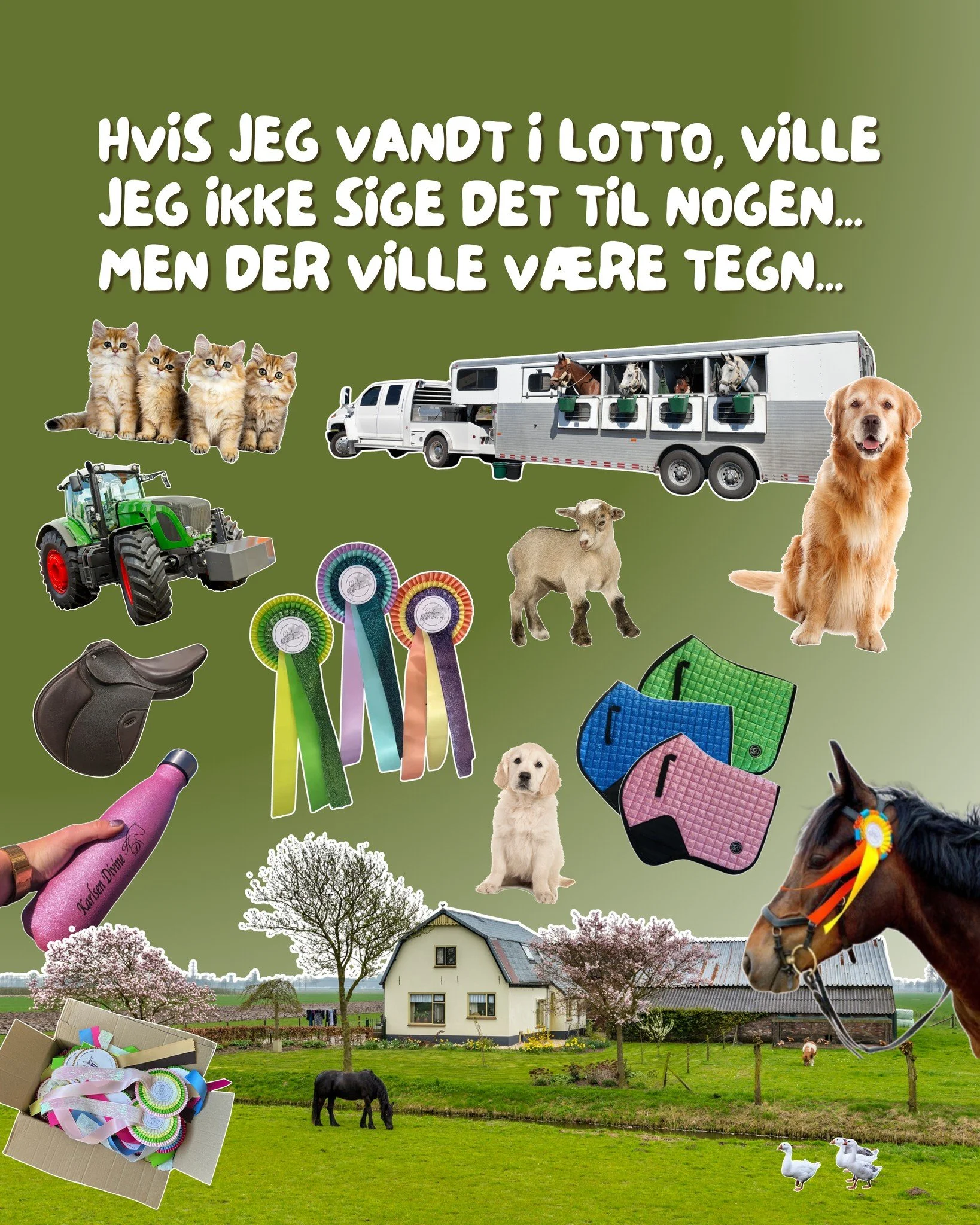 Hvilke tegn ville der v&aelig;re hvis du vandt i lotto? 🤫🫶

www.online-ridest&aelig;vner.dk