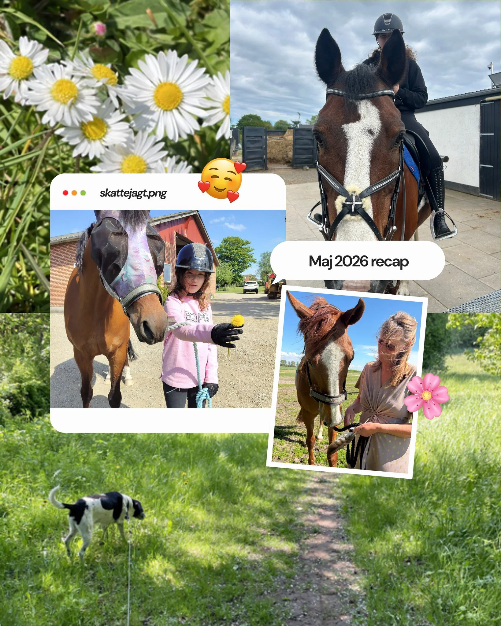 Maj b&oslash;d p&aring; sk&oslash;nt vejr, masser af gode rideture og endnu flere fantastiske billeder fra jer &ndash; vores dejlige deltagere. 🐴🌸

Vi fik blandt andet de fineste &oslash;jeblikke fra Jannie og Engeplet Cassius, Chanel og El Wadim o