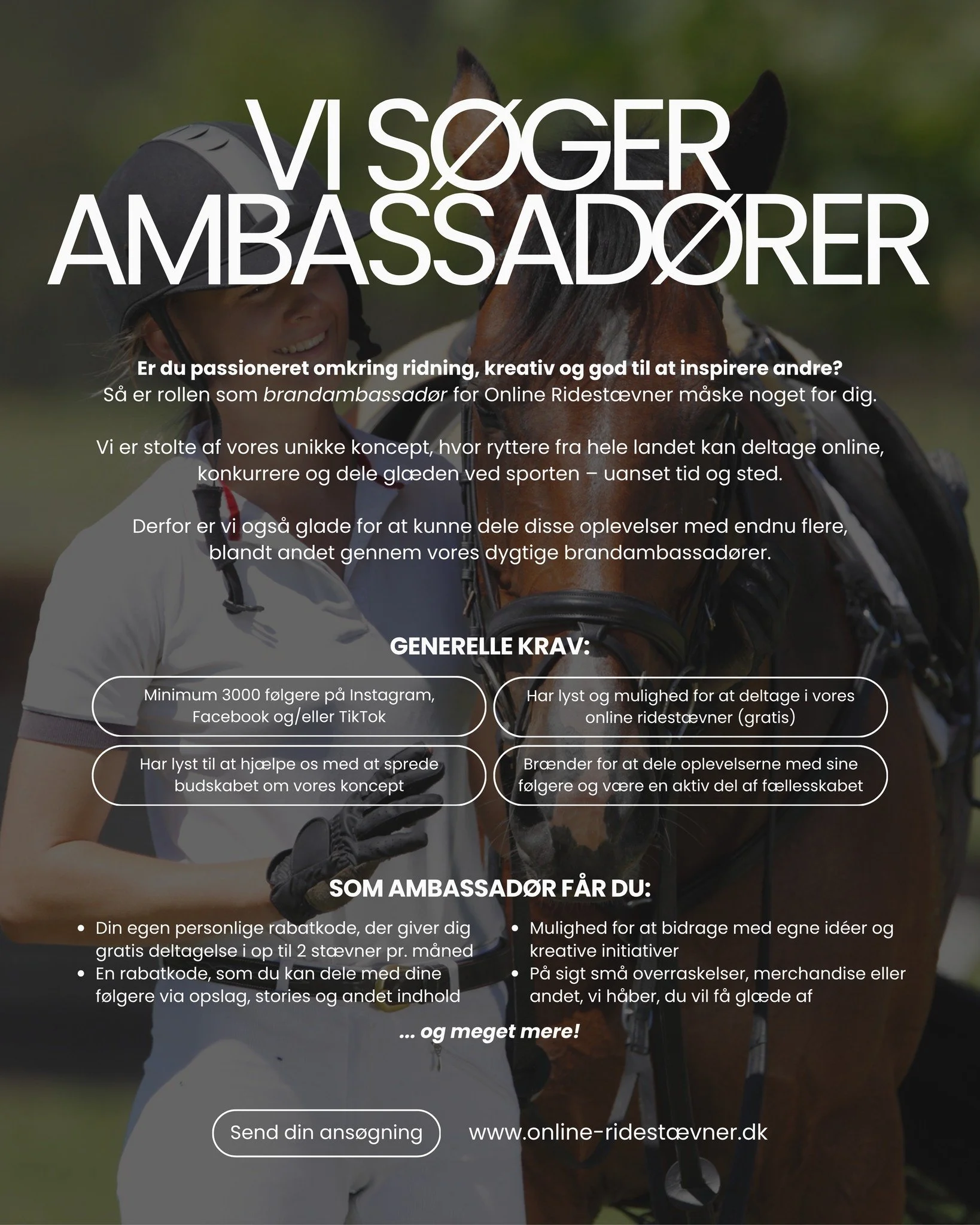 Vi s&oslash;ger nye brandambassad&oslash;rer &ndash; og m&aring;ske er det lige dig, vi mangler? 🐴✨

Hos Online Ridest&aelig;vner har vi et st&aelig;rkt, kreativt og engageret f&aelig;llesskab, hvor ryttere hver m&aring;ned deler ridegl&aelig;de, fl