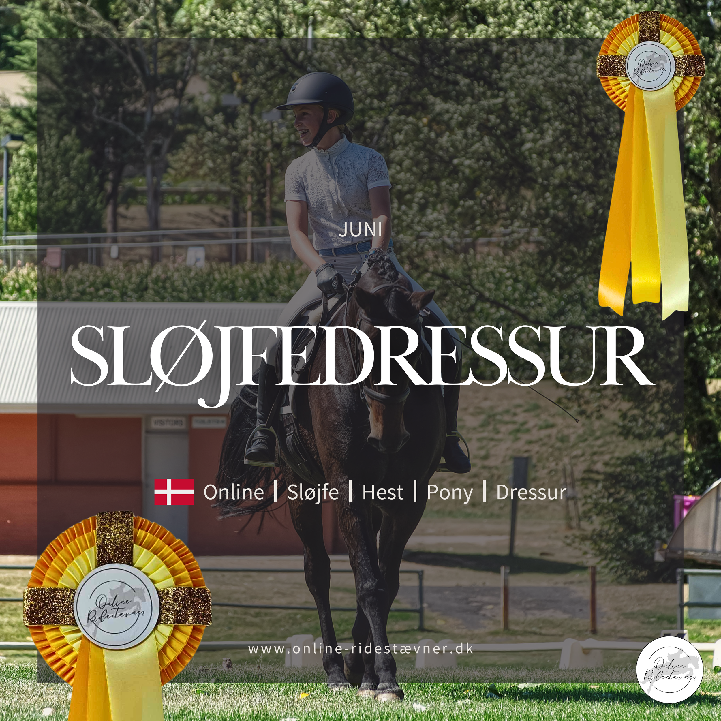 Sløjfedressur