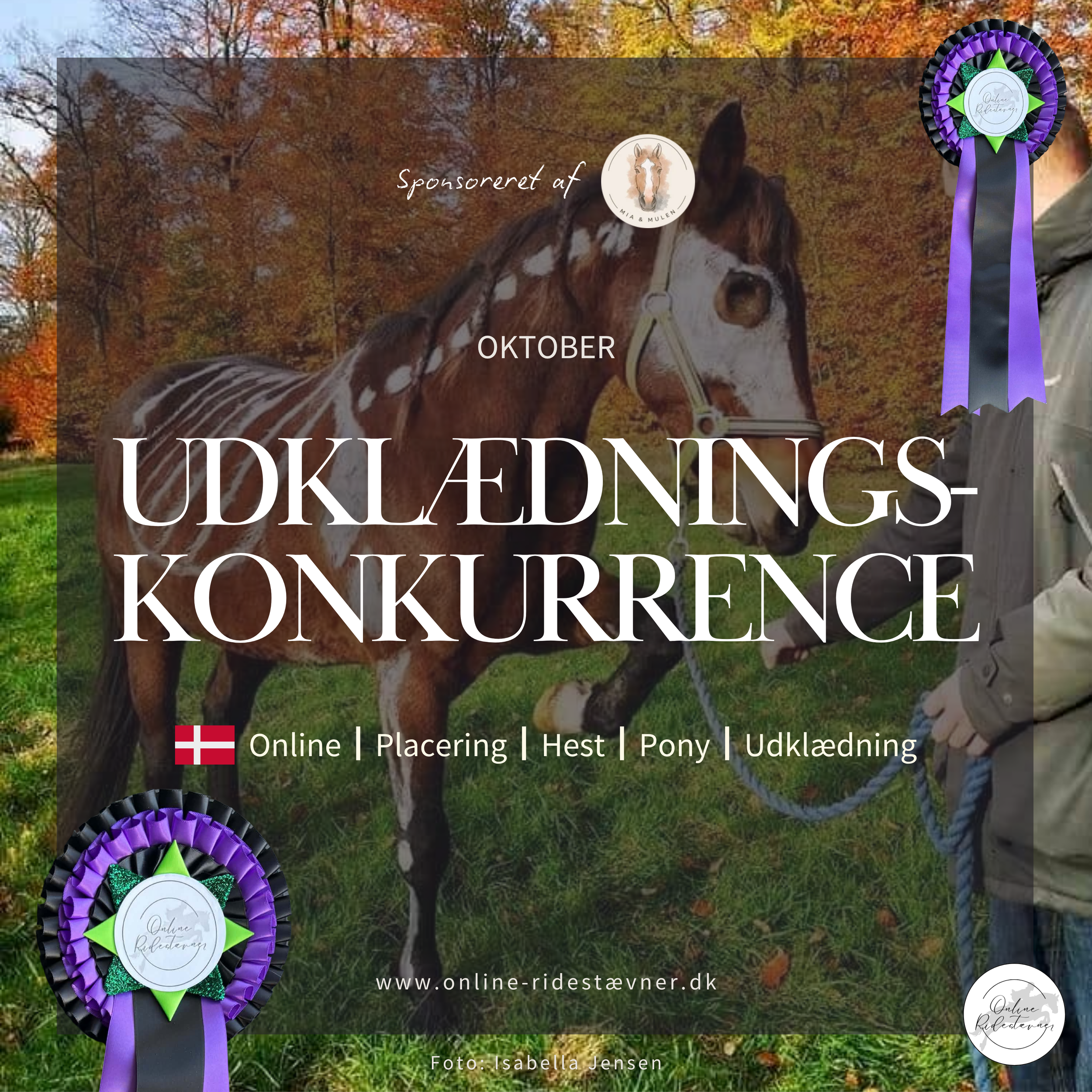 Udklædningskonkurrence