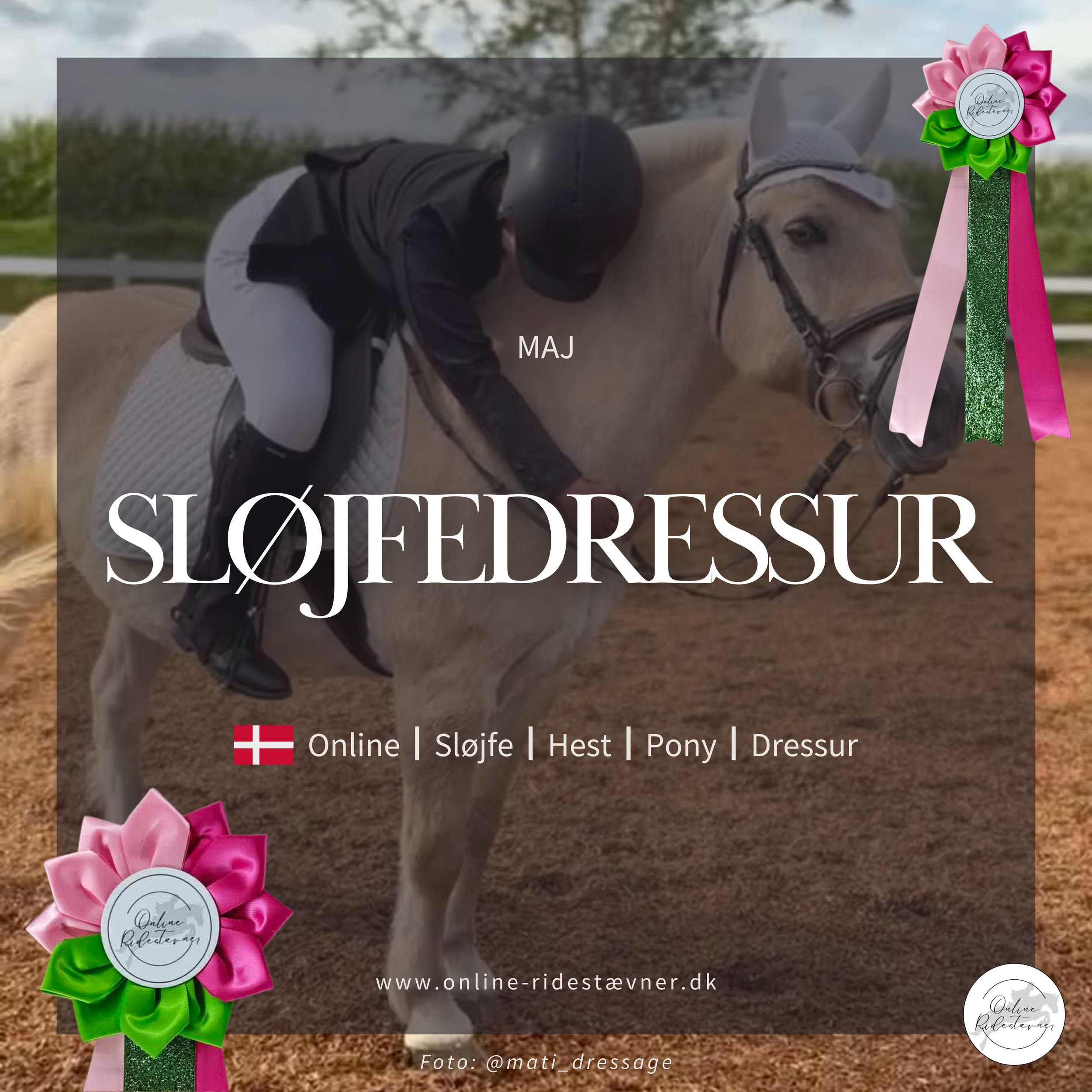 Sløjfedressur