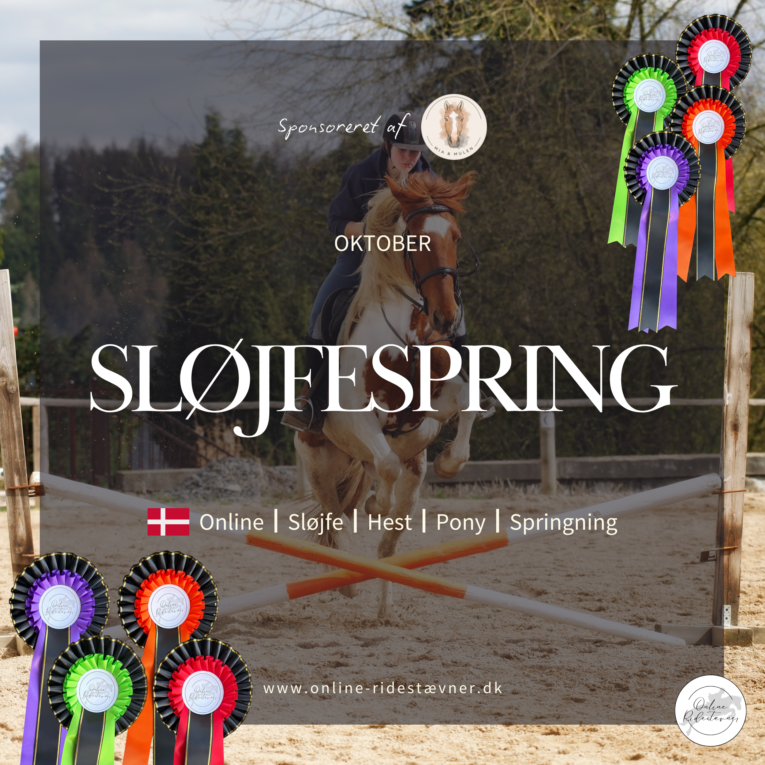 Sløjfespring
