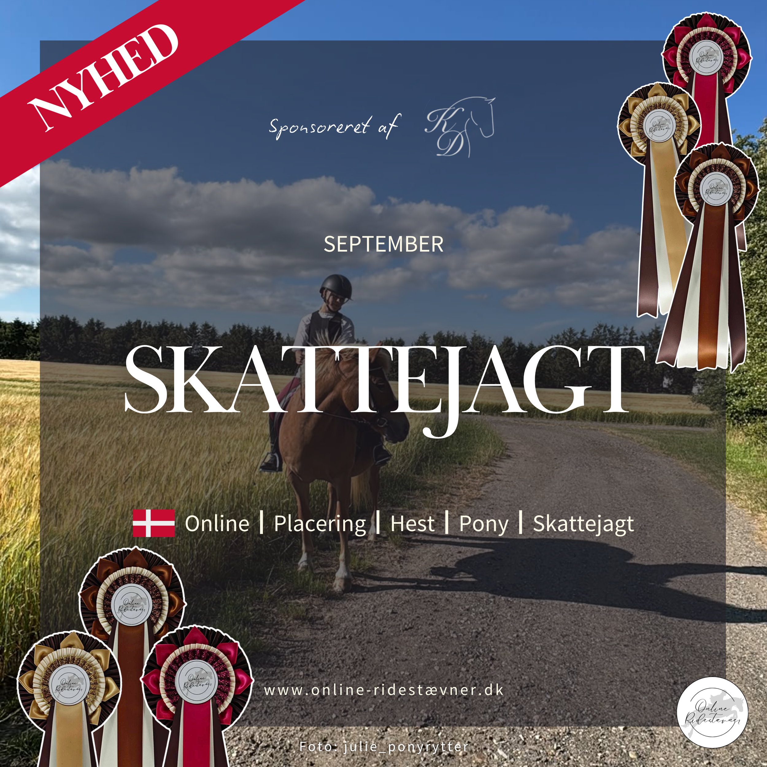 Skattejagt
