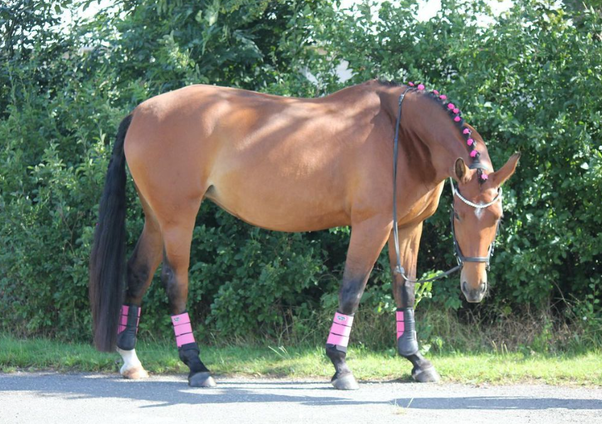 Screenshot 2023-08-18 092411.png