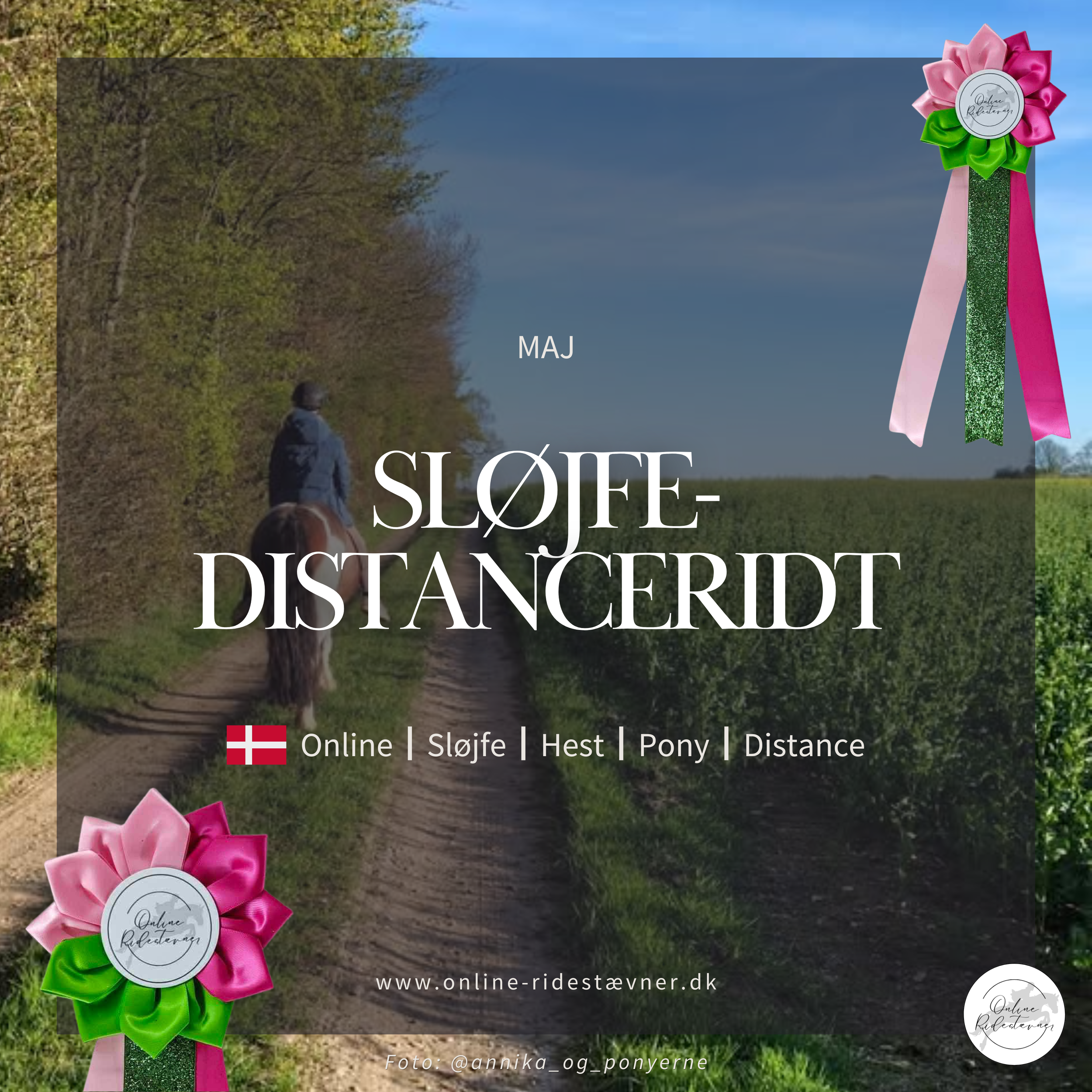 Sløjfedistanceridt
