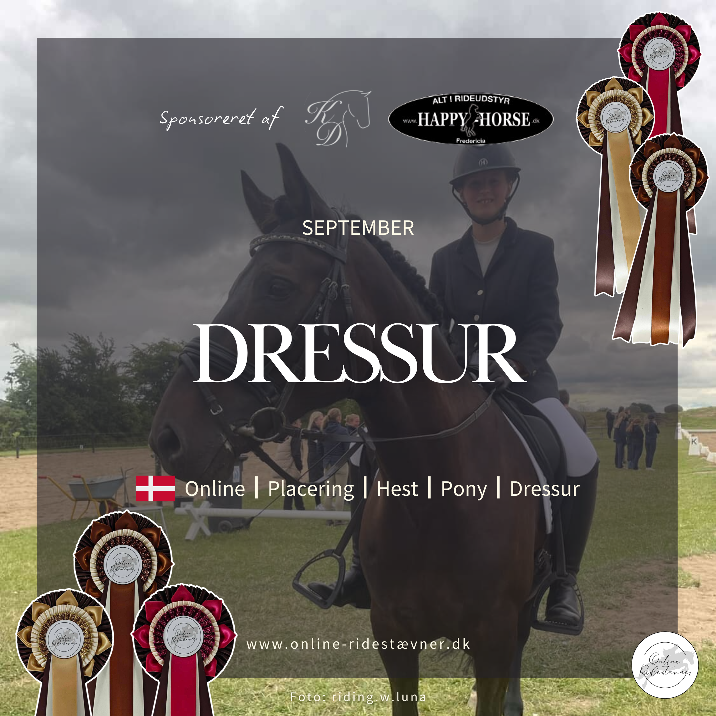 Dressur