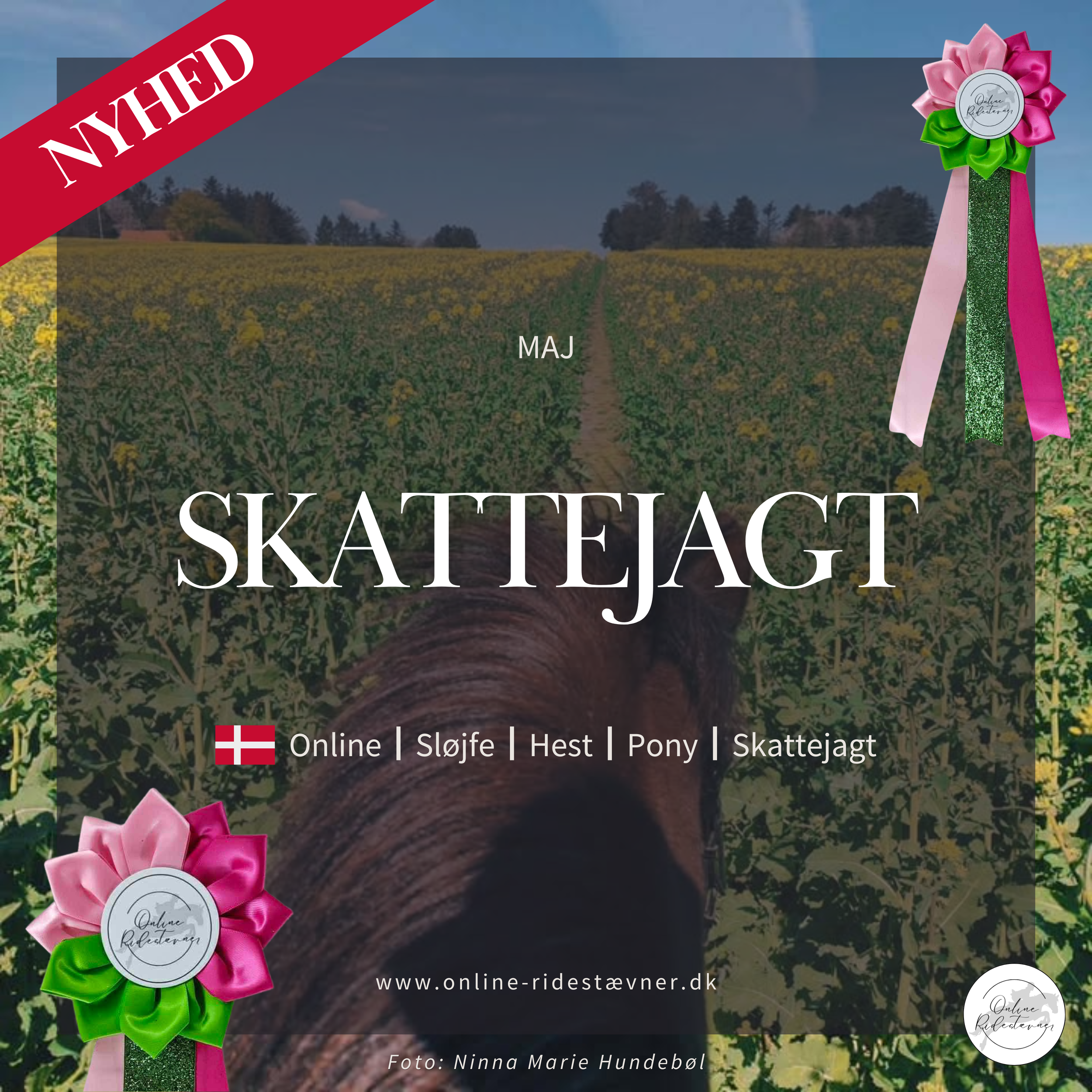 SLØJFEDRESSUR (2).png