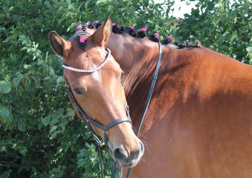 Screenshot 2023-08-18 092459.png