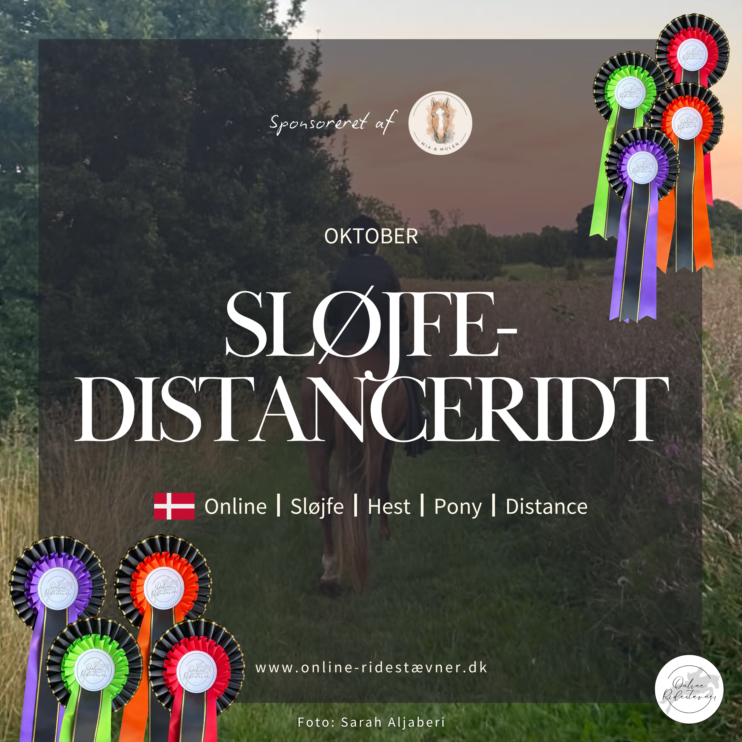 Sløjfedistanceridt
