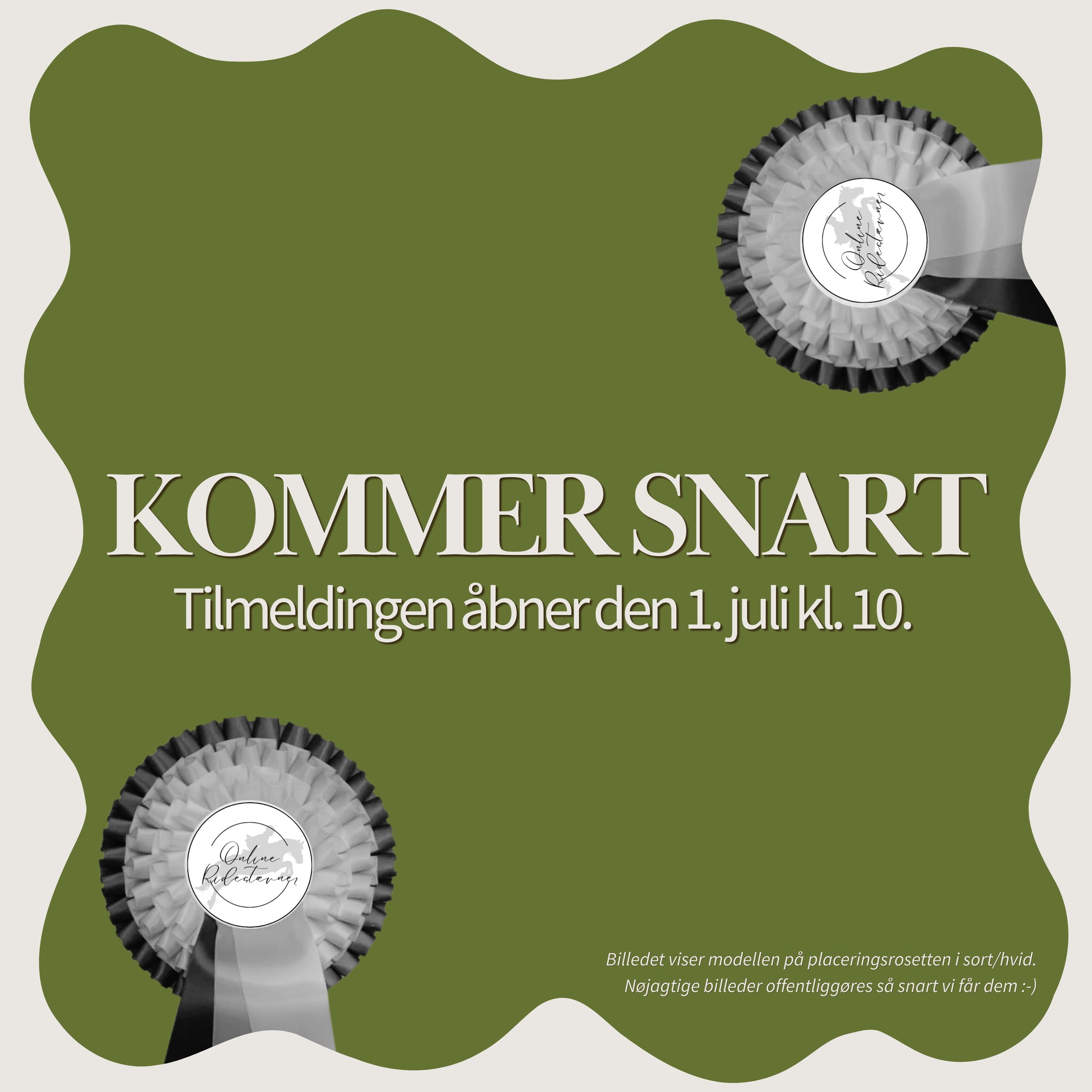 Sløjfespring
