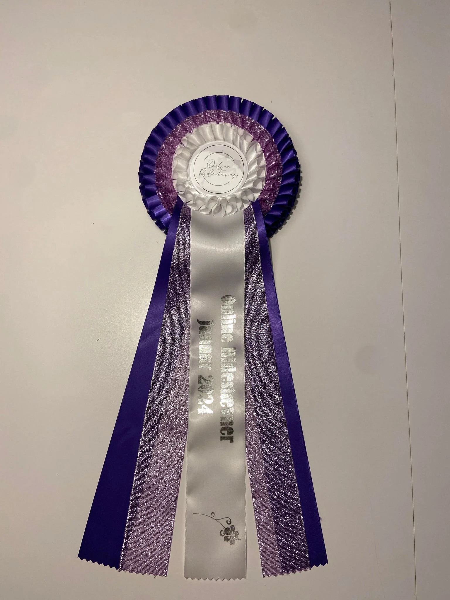 413458685_1781158725630669_8740566804015724139_n.jpg