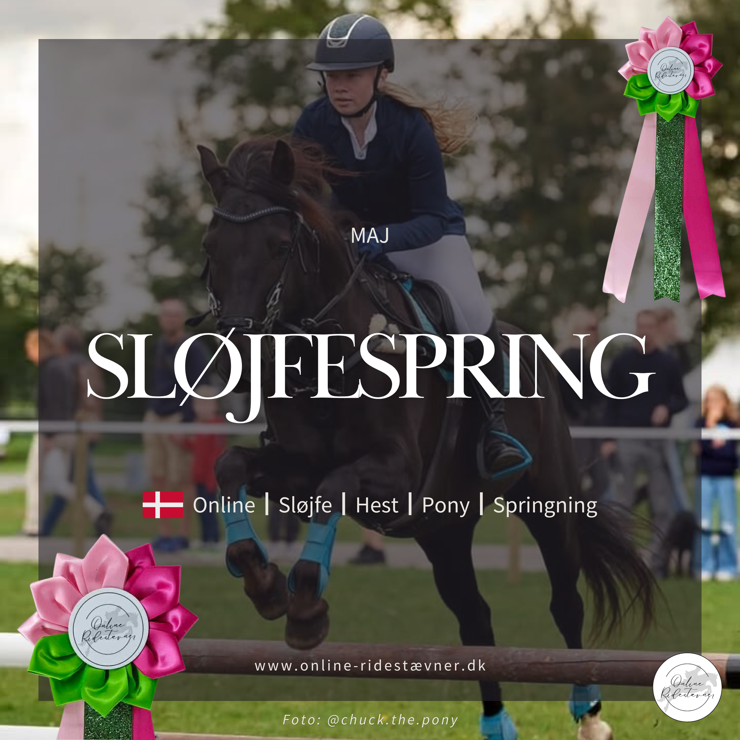 Sløjfespring