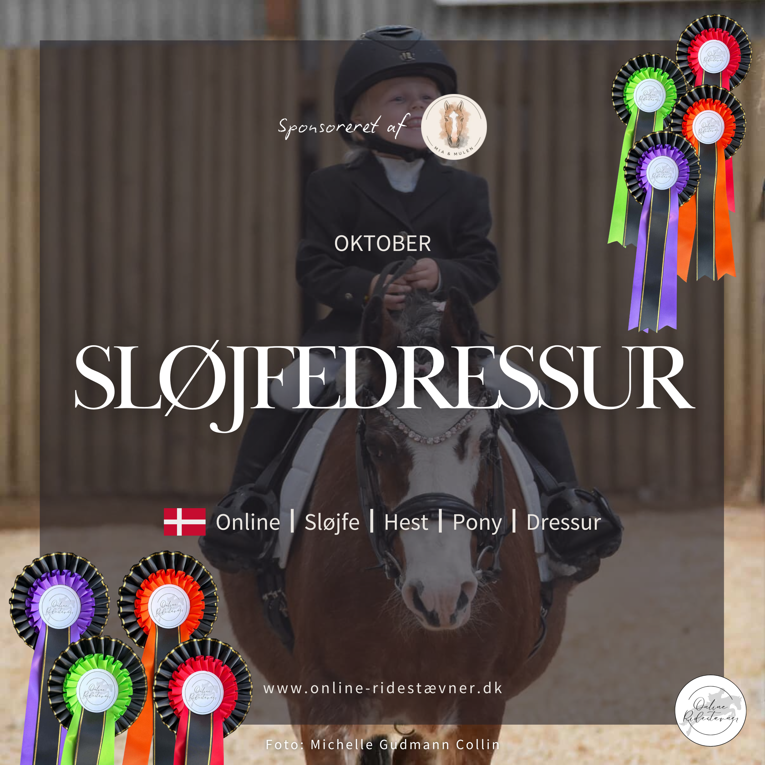Sløjfedressur