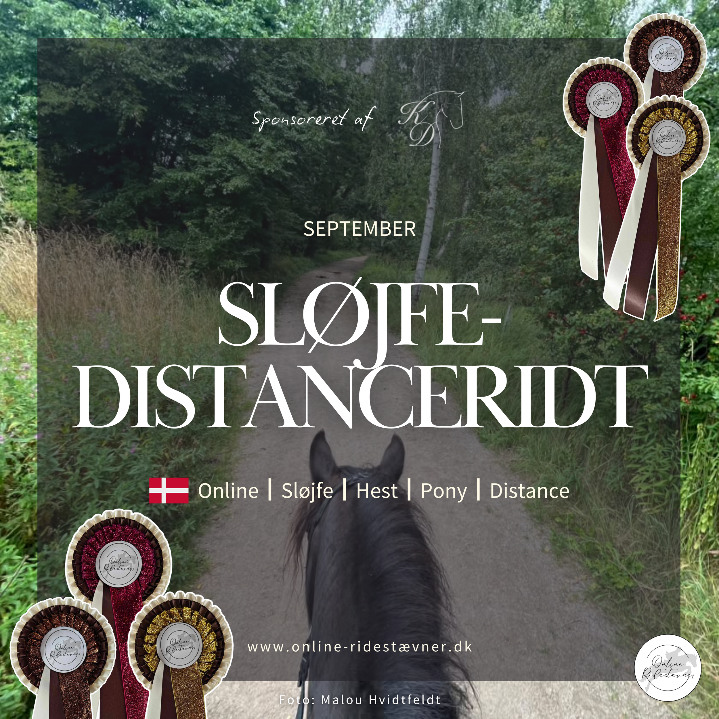 Sløjfedistanceridt