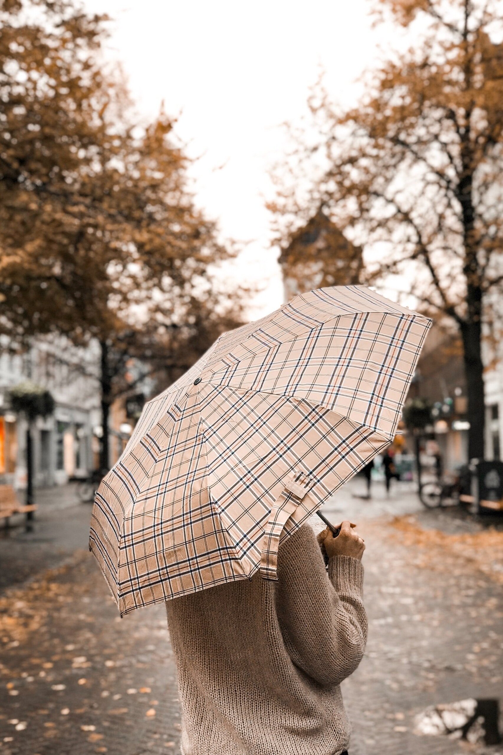 pexels-julie-aagaard-3144205.jpg