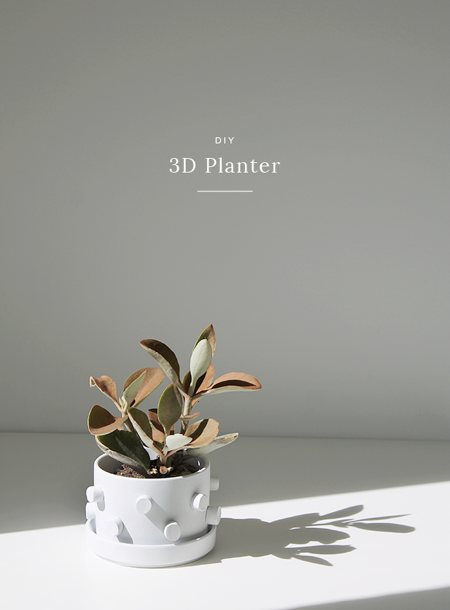 DIY-3D-Planter-almost-makes-perfect-1.png