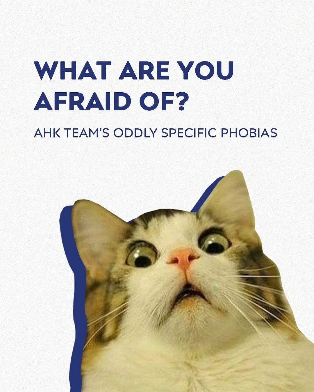 Yesterday we discussed with our guests their phobias and how they overcame them. We also asked our team about their phobias, and some of them are extremely specific. 

Scroll the carousel and let us know if you can relate. 

What are you afraid of? ?